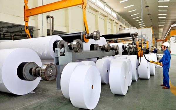 Ngành giấy 2025 – Cơ hội và thách thức
